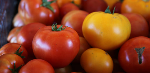 WHF Bulk Tomatoes